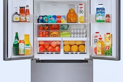 Top 10 Most Expensive Refrigerators