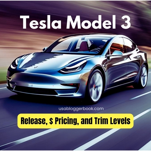 Tesla Model 3 cars are on sale