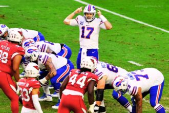 Arizona Cardinals vs Buffalo Bills Match Player Stats